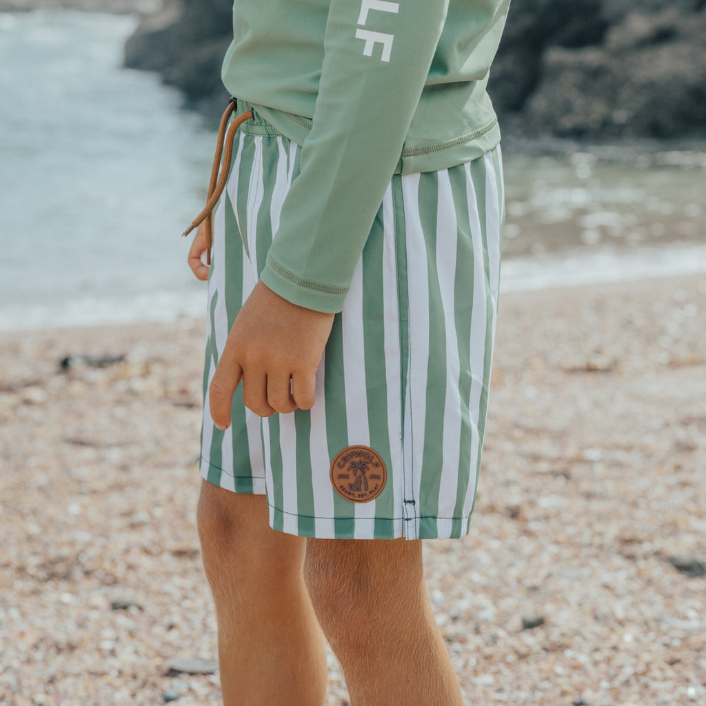 BOARD SHORT | Coastal Stripe