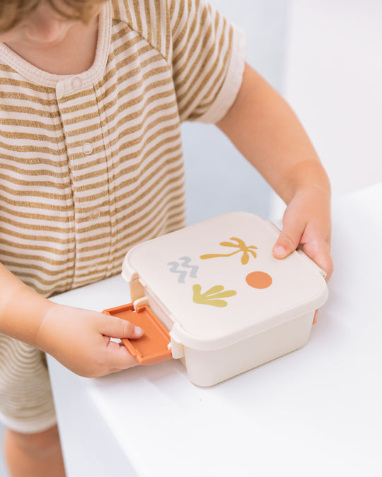 Bento Two Snack Box | Endless Summer
