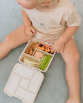 Bento Five Lunch Box | Endless Summer